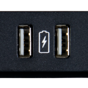 HPX-N102-USB-PC | AMX | Módulo de alimentación USB dual con símbolo de carga impreso