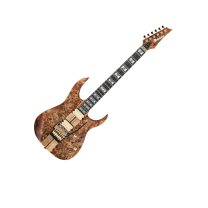 Ibanez RGT1220PB ABS guitarra eléctrico premium
