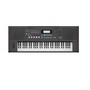 Roland E X50 Teclado arreglista