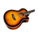 Washburn EA15ATB