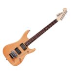 Washburn N2 NM