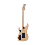 Washburn N2 NM