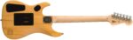 Washburn N2 NM