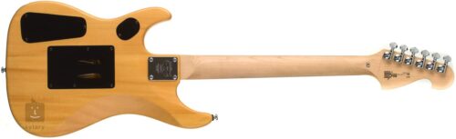 Washburn N2 NM
