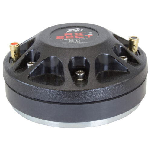 Peavey RX22CT