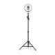 Mackenzie Stand Luz P01