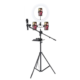 Mackenzie Stand Luz P02