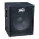 Peavey PV 118