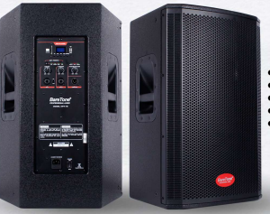 BareTone MPA-12  Altavoz de madera de 12"