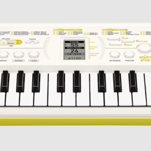 CASIO SA-80H2-ADAP Órgano Electrónico de 44 Teclas
