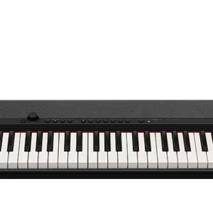 CASIO S1BKC2 ADAP  CASIOTONE Teclado 61 Teclas