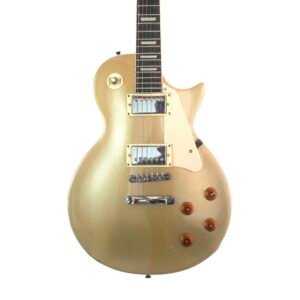 TAKEY – TK-LPN-GT Guitarra Eléctrica – Gold Top