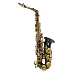 VGS-SALT-BNP VILLEGAS SAXO ALTO NEGRO C/LLAVES DORADAS