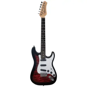 PALMER PE CORE-XL-VP-FRDS GUITARRA ELECTRICA