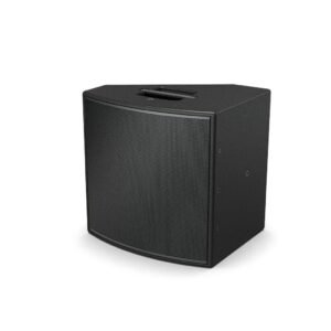 BOSE AMM112 Multipurpose Loudspeaker de 12 pulgadas