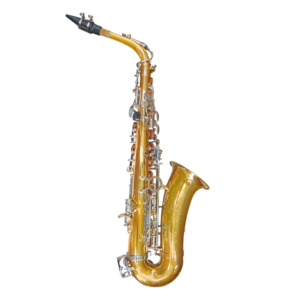 VILLEGAS    VGS-FT6430LN Saxo alto (claves plateadas)