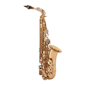 VILLEGAS  VGS-SALT-GD SAXO ALTO GOLD LACQUER