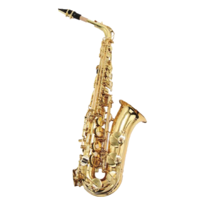 VILLEGAS  VGS-SALT-GL SAXO ALTO GOLD LACQUER