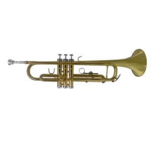 VILLEGAS |VGS-TRM-G1 TROMPETA GOLD LACQUER C/ACEITE P/PISTONES