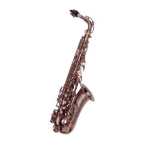 VILLEGAS  VGSFT6430FG1 Saxo alto bronce