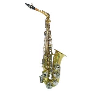 VILLEGAS   VGS-SALT-GL/NP SAXO ALTO DORADO C/LLAVES PLATEADAS