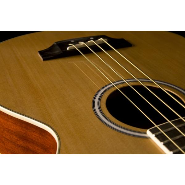 Washburn AB5 Con Funda Natural Bajo Electroacústico - Imagen 7