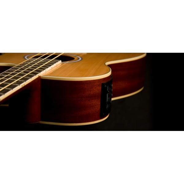 Washburn AB5 Con Funda Natural Bajo Electroacústico - Imagen 6
