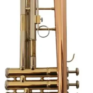 SAITO ST-TRU1YB TROMPETA GOLD
