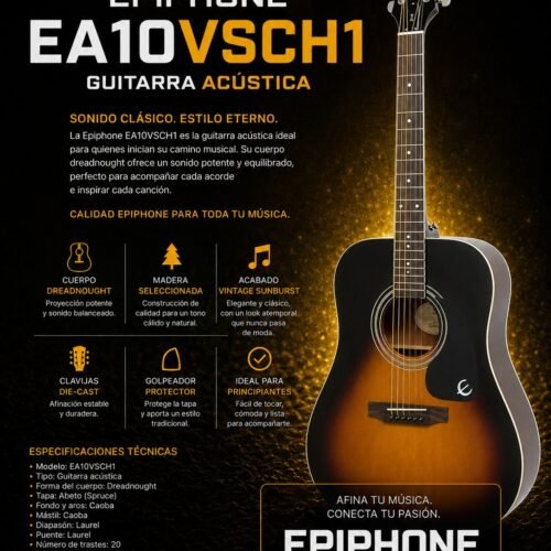 epiphone-dr-100-vintage-sunburst-ea10vsch1.jpg