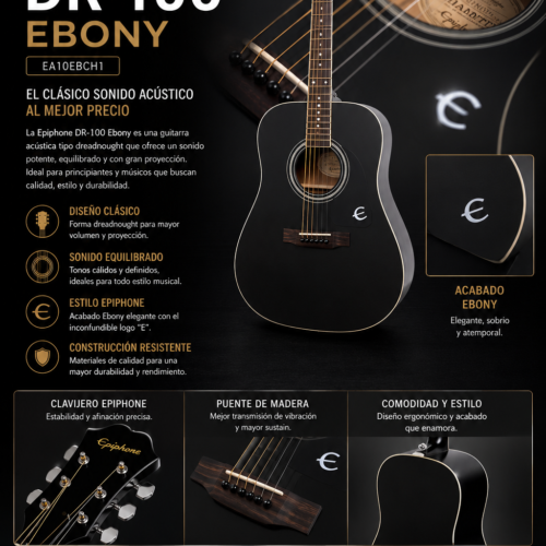 Guitarra Acústica Epiphone DR-100 Ebony EA10EBCH1