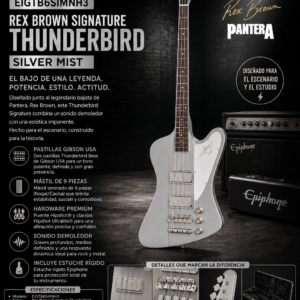epiphone-eigtb6simnh3-rex-brown-thunderbird-silver-mist.webp