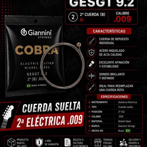 giannini-gesgt9-2-segunda-cuerda-guitarra-electrica-calibre-009.webp