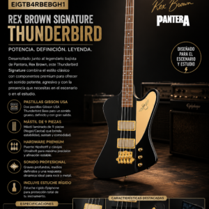 epiphone-eigtb4rbebgh1-rex-brown-thunderbird-ebony.webp