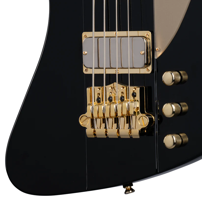 epiphone-thunderbird-signature-detalle.webp