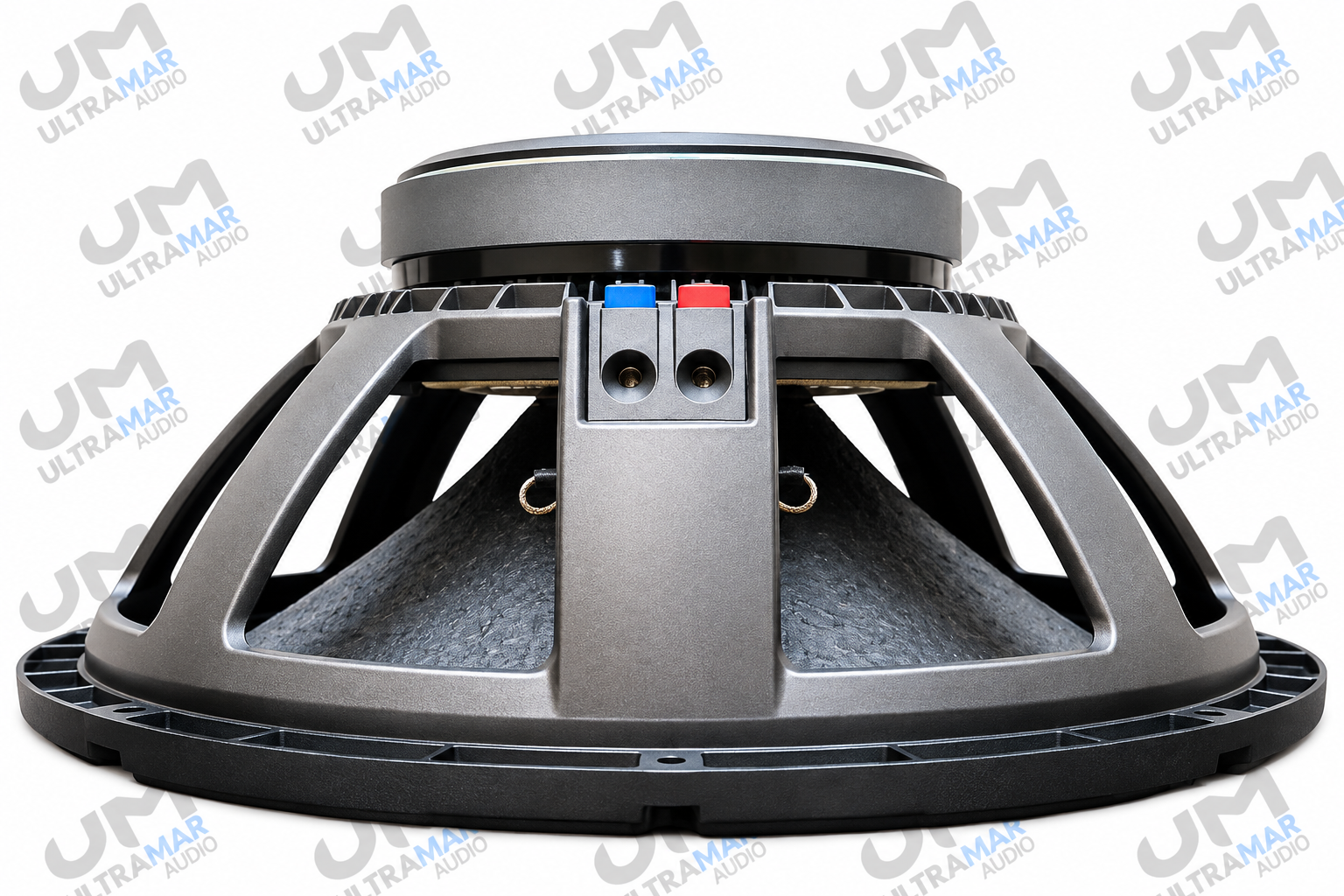 LEXSEN LX1810W – Parlante de 18″, 1000W RMS - Imagen 2
